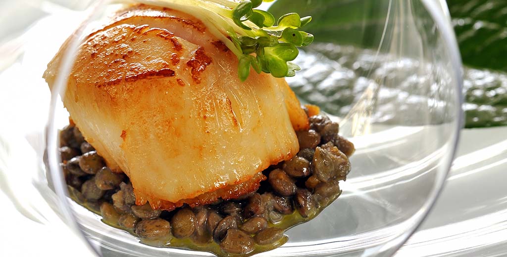 Weihnachtsmenü (Vorspeise): Jakobsmuscheln auf Linsensalat